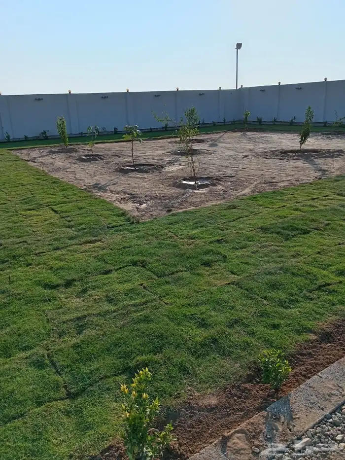 زراعة وحدائق 30