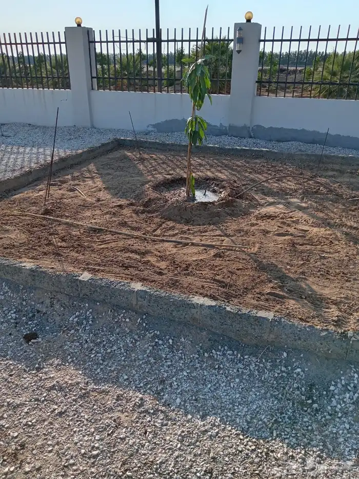 زراعة وحدائق 38