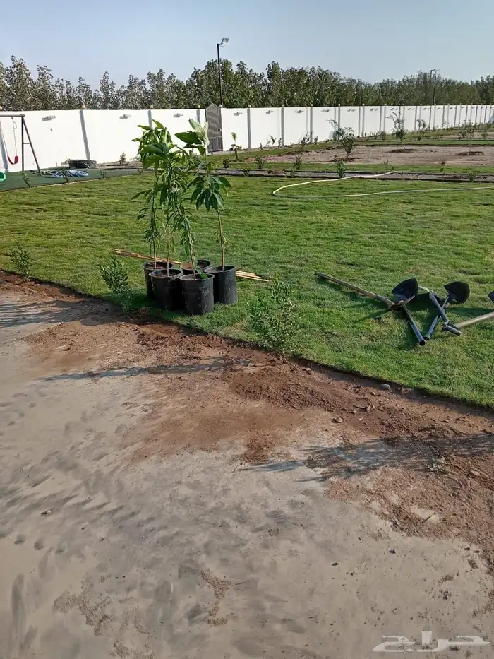 زراعة وحدائق 33