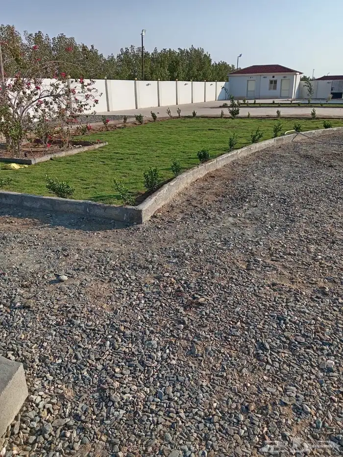 زراعة وحدائق 40