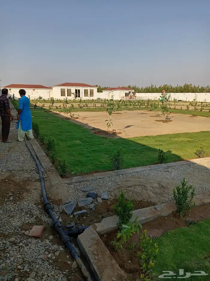 زراعة وحدائق 32