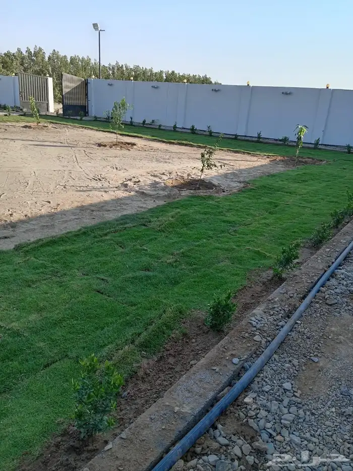 زراعة وحدائق 27