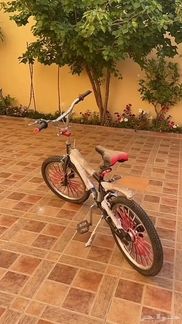 سيكل كوبرا مقاس 20 نظيف 0