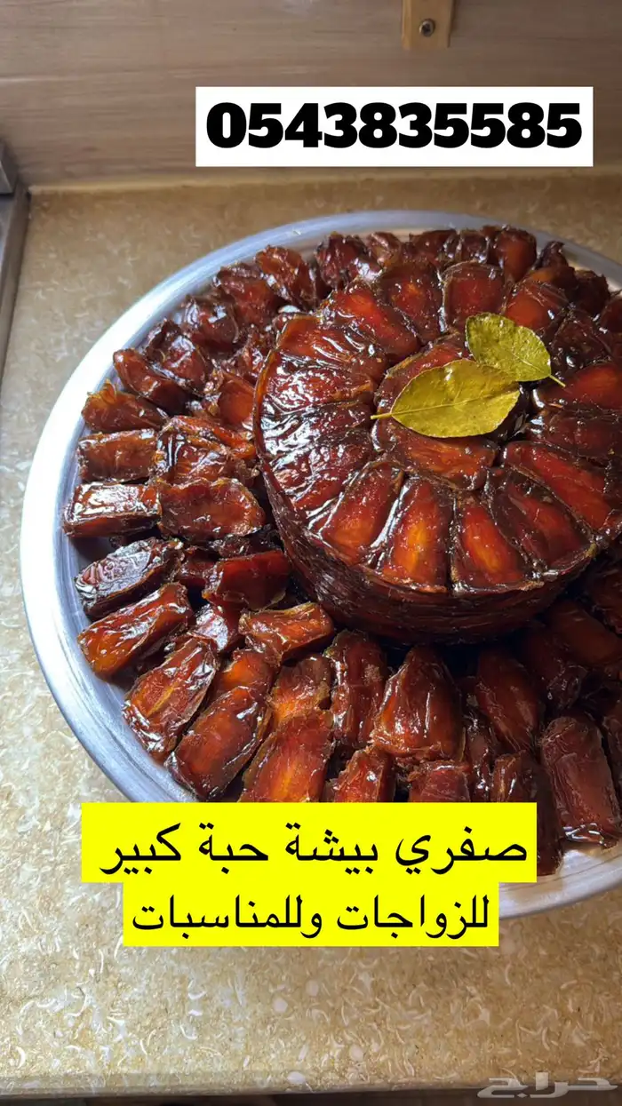 صفري بيشة 5