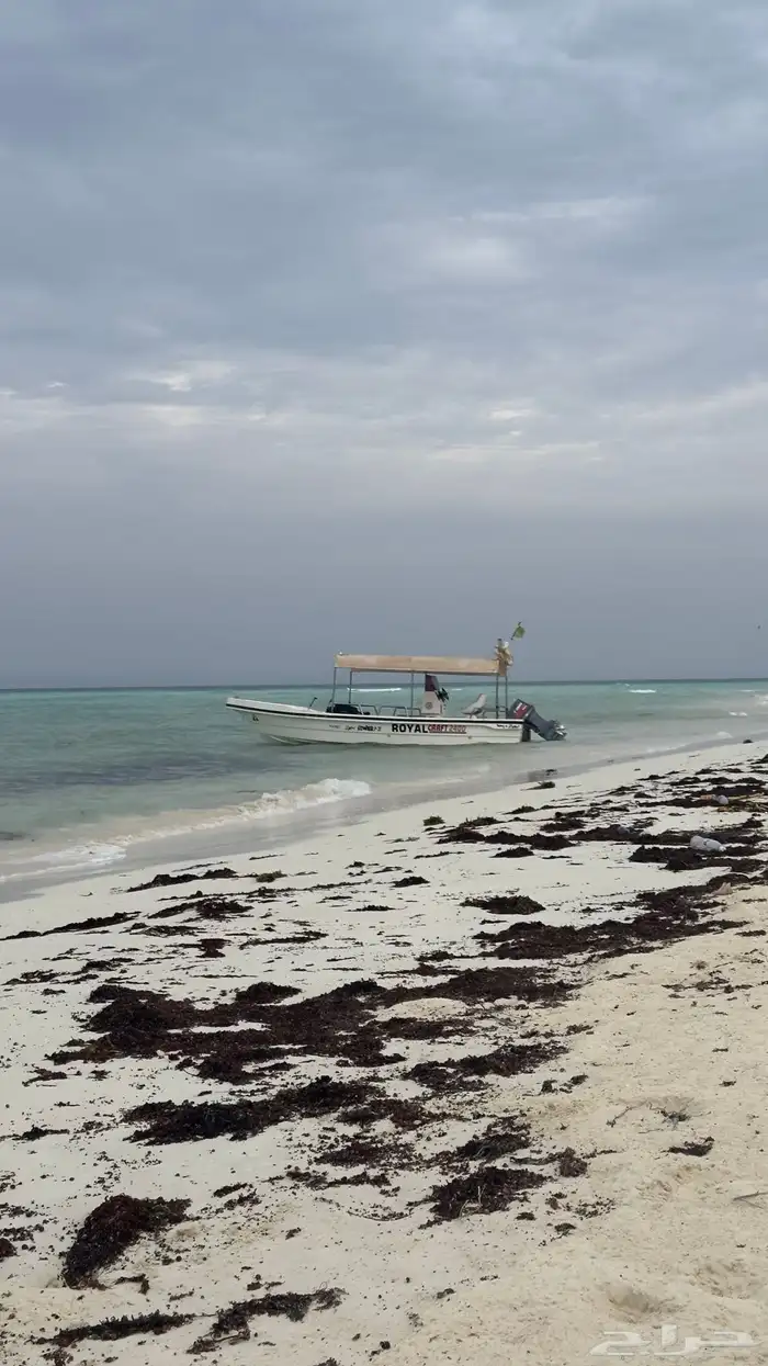 رحلات جزيرة ماركا مع اضافة جلسات 2