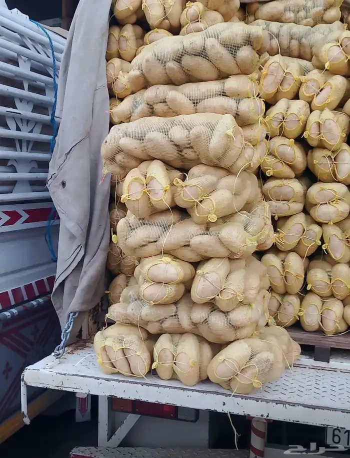 مطلوب مزارع انتاج بطاطس جملة 2