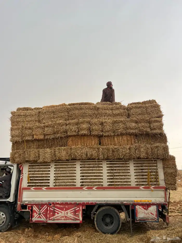 تبن بر صافي ناعم 0
