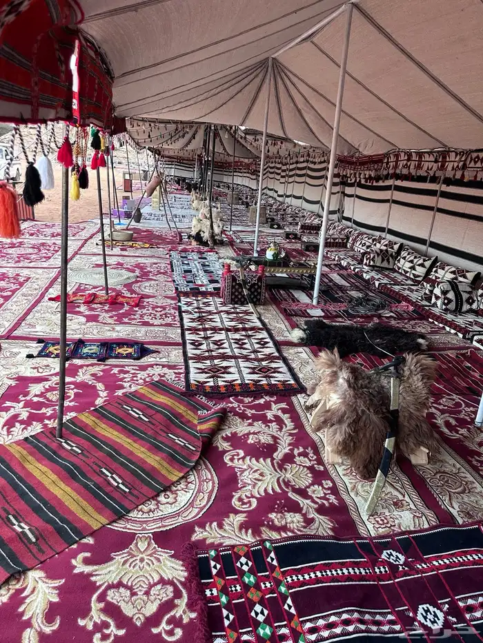 تاجيرشعبيات يوم التاسيس 9