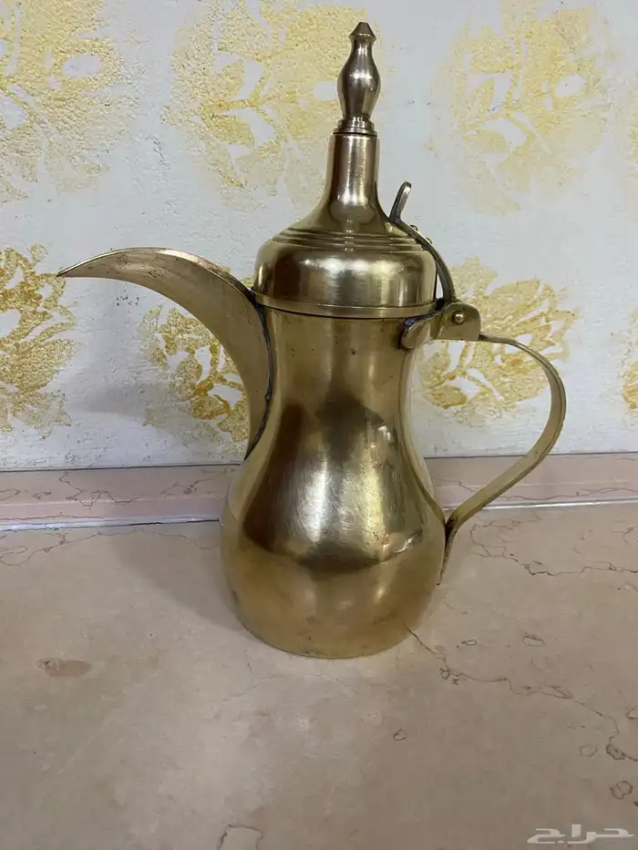 دله رسلان كبيره وزينه ونظيفه 2