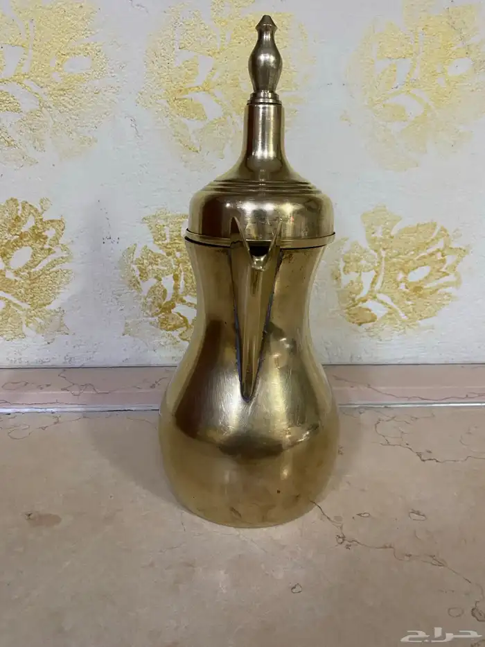 دله رسلان كبيره وزينه ونظيفه 1