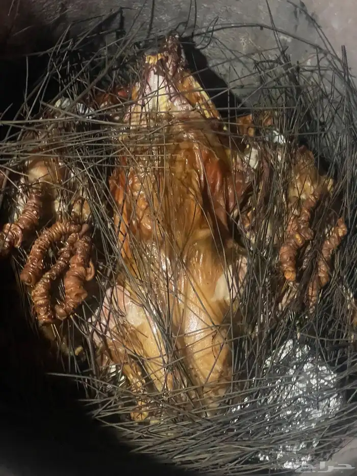 طبخ حنيذ بالمرخ 0