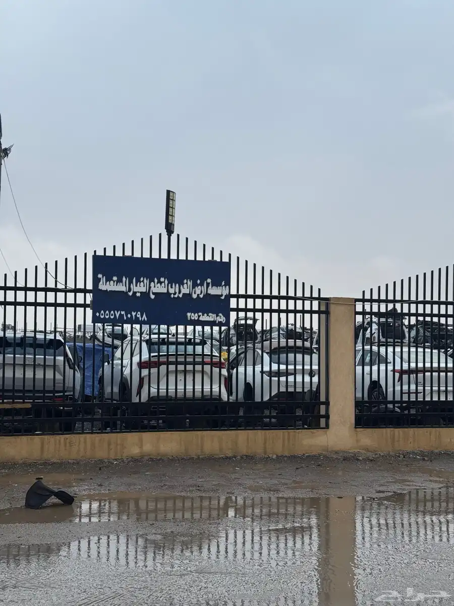 قط ع جيلي منجارو تشليح الغروب 0