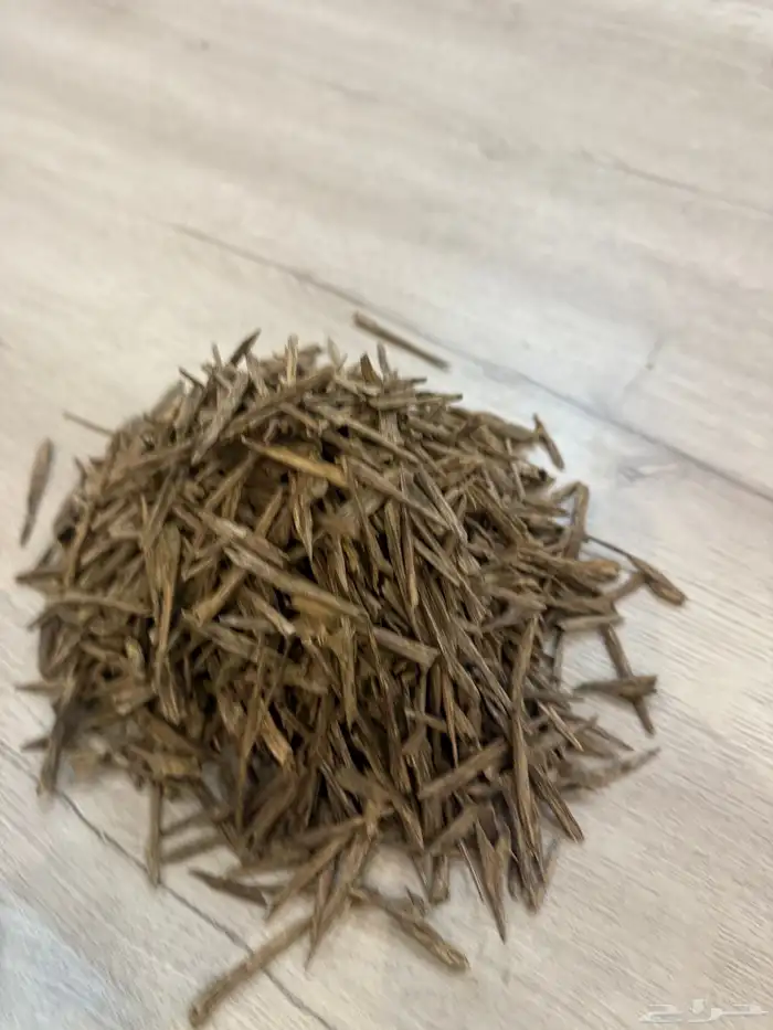 اوقية هندي سلا سوبر مرتفع 1