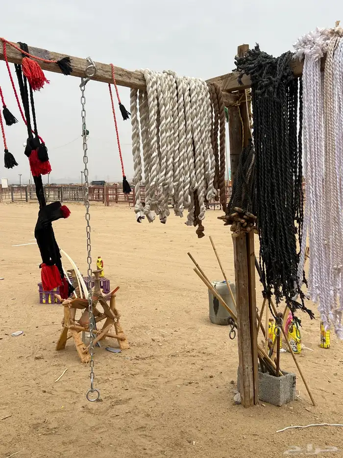 جميع مستلزمات البل شداد سوداني بسعر الجمله شمال وجقيود 7