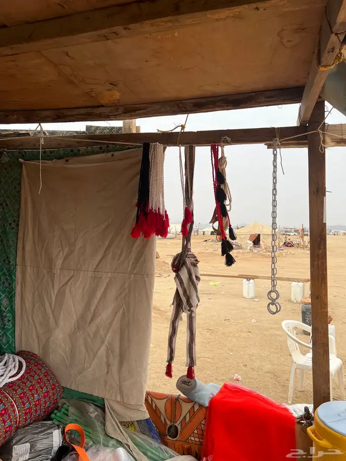 جميع مستلزمات البل شداد سوداني بسعر الجمله شمال وجقيود 6