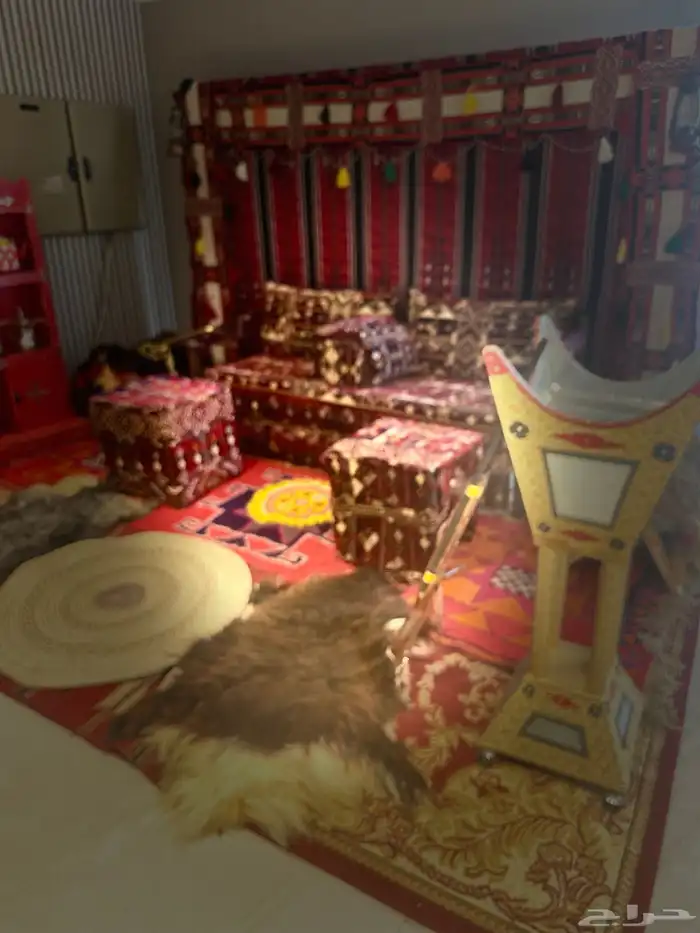 تاجيرشعبيات يوم التاسيس 2