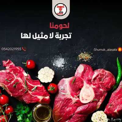 ملحمة اصالة العجول مشالله تبارك الرحمن 7
