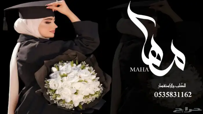 منشد شيلات شاعر جزل 0