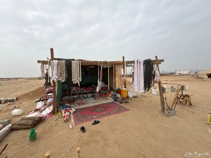جميع مستلزمات البل شداد سوداني بسعر الجمله شمال وجقيود 4