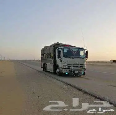 دينه نقل دينا نقل في الطائف دنه 0