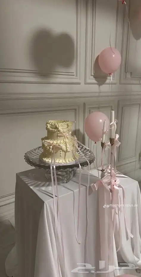 منسقه حفلات 2