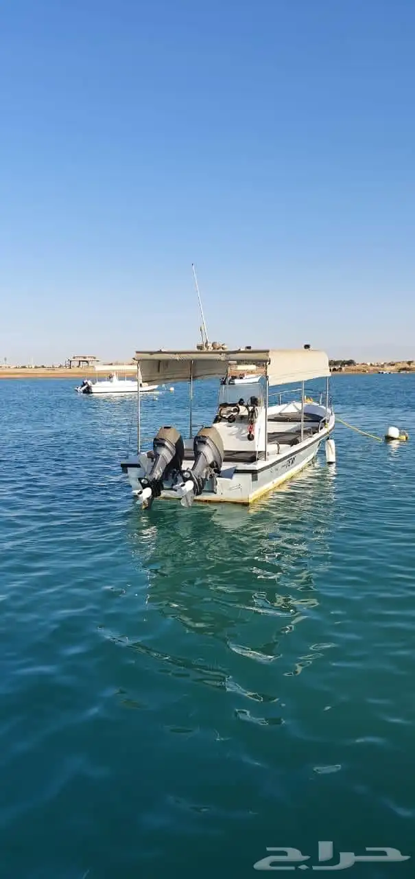 قارب للبيع 4