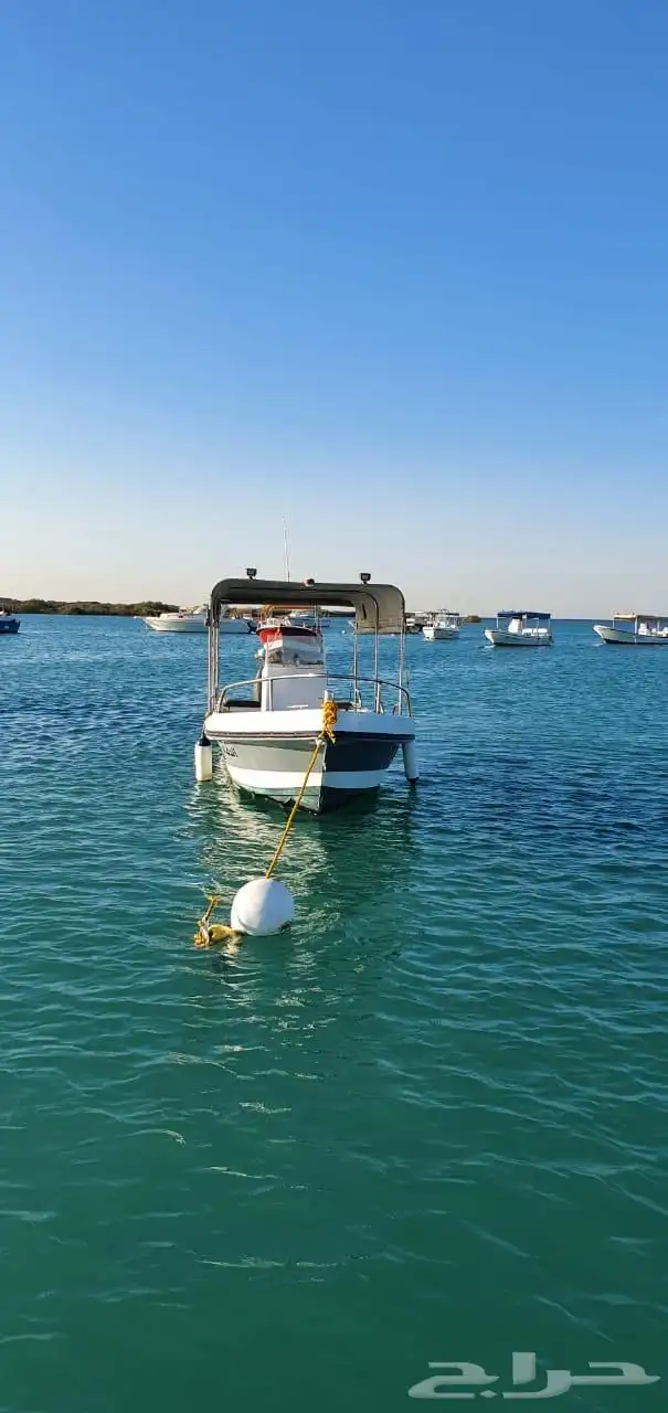 قارب للبيع 7
