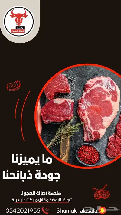 ملحمة اصالة العجول مشالله تبارك الرحمن 5