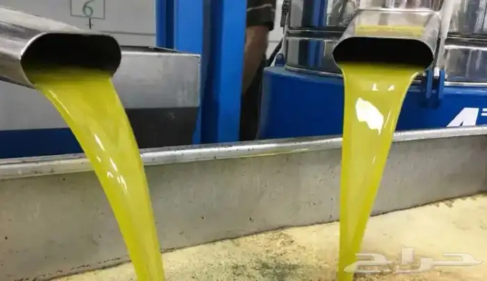 زيت زيتون عصرة اولى ع البارد في الشفاء مرقد ممميز بسعر 2