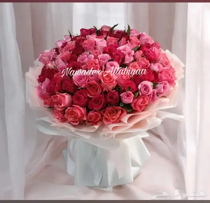 ورود الجملة و أسعار مناسبة 1