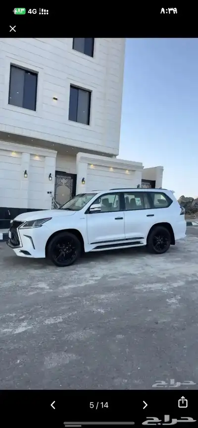 محجوزه فل 0