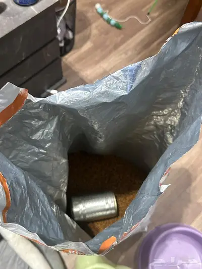 اغراض القط 2
