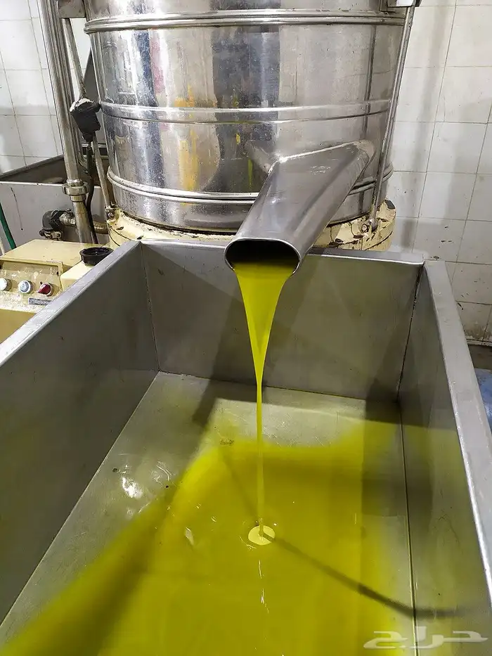 زيت زيتون عصرة اولى ع البارد في الشفاء مرقد ممميز بسعر 1