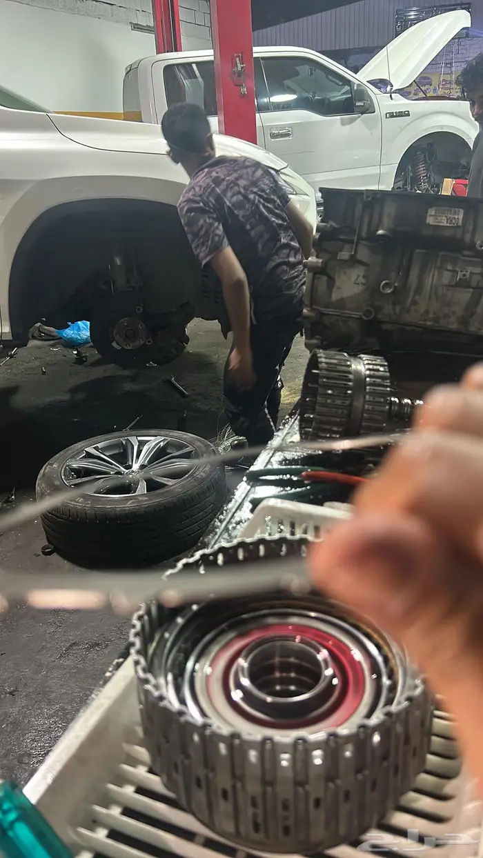 توضيب قيور الجمس 6 النمر 4