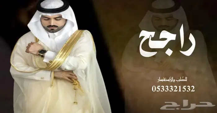 منشد شيلات شاعر جزل 0