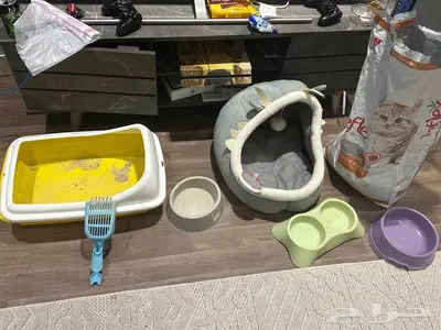 اغراض القط 1