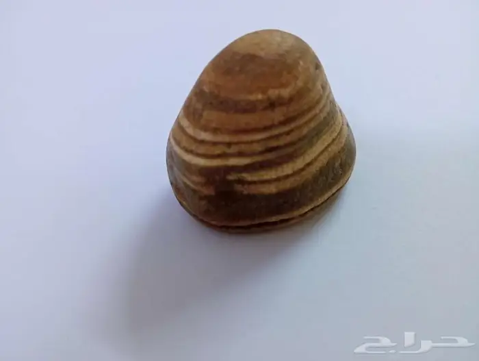 25 كيلو من أحجار العقيق الطبيعى 29