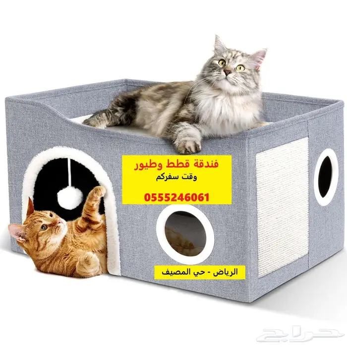 فندقة قطط وطيور 6061 24 0555 حي المصيف - شاهد التقييمات 0