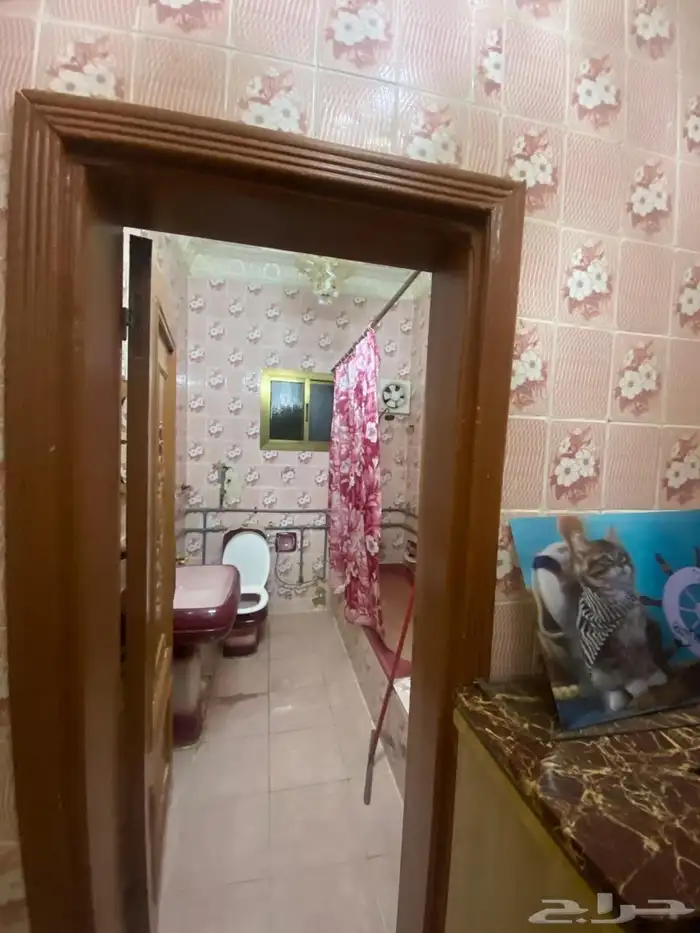 شقة للايجار بام العراد دور كامل 7