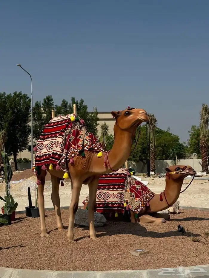 مجسم جمل للاحتفال بيوم التأسيس 0