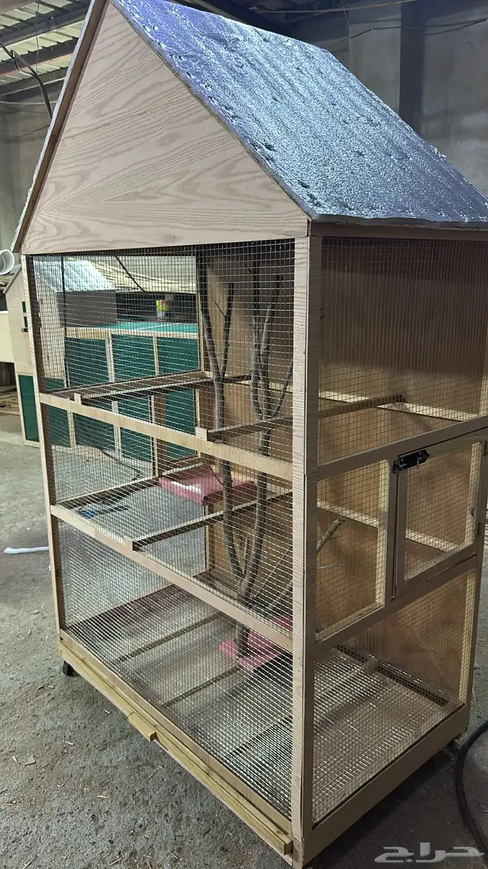 محاكر قفص 10