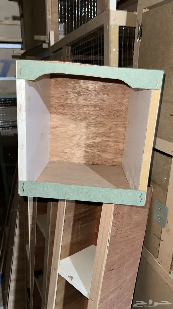 محاكر قفص 54