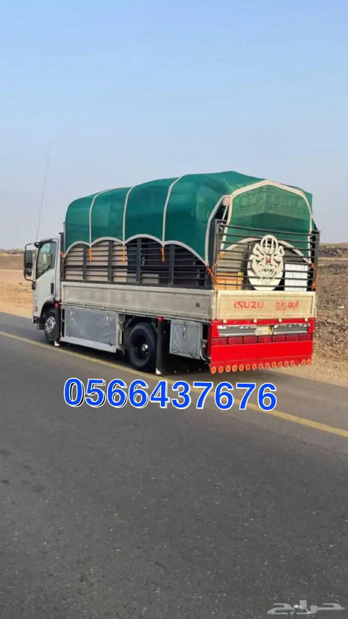 دينا الرياض نقل دينه دنه 0