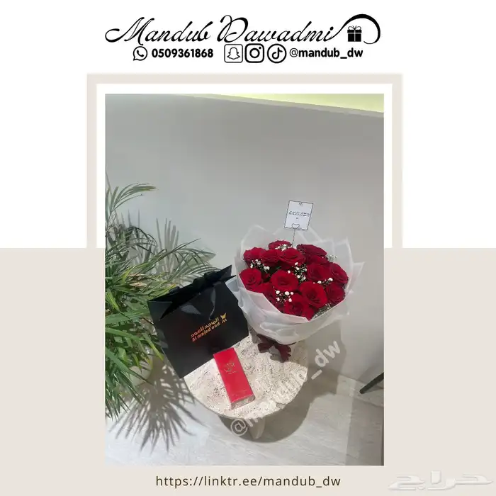 مندوب الدوادمي 4