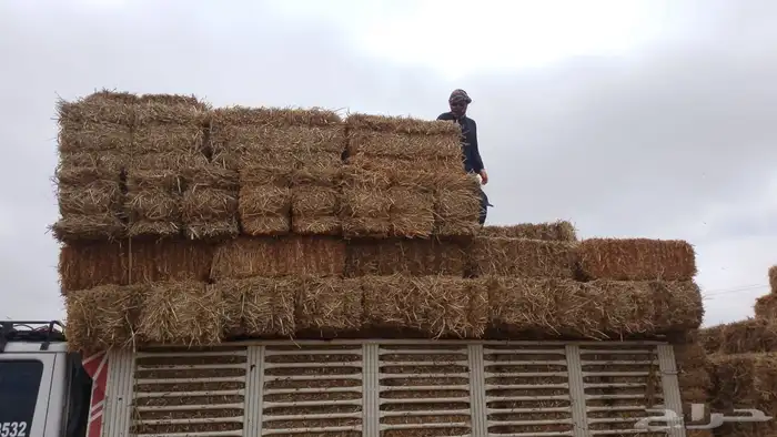 تبن بر صافي ناعم 1