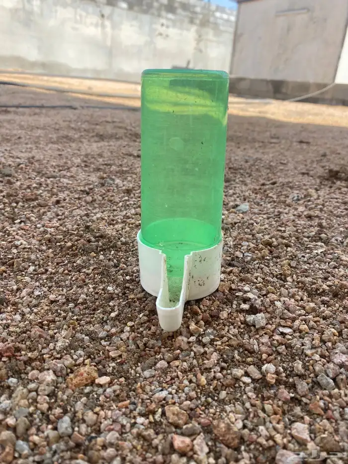 سقاية موية وطبق اكل للطيور 4