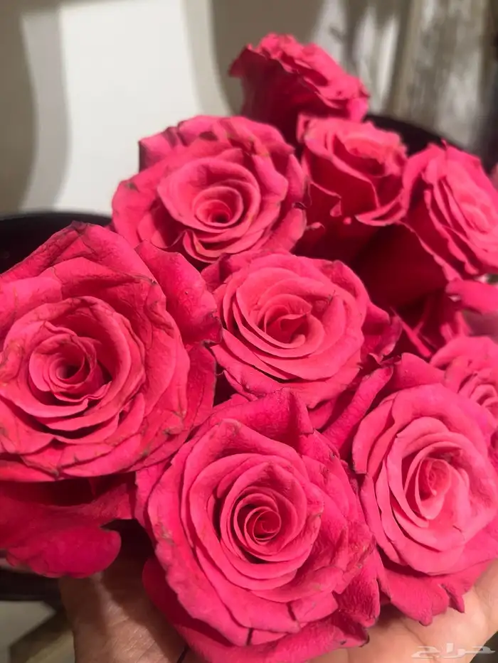 مندوب الدوادمي 12