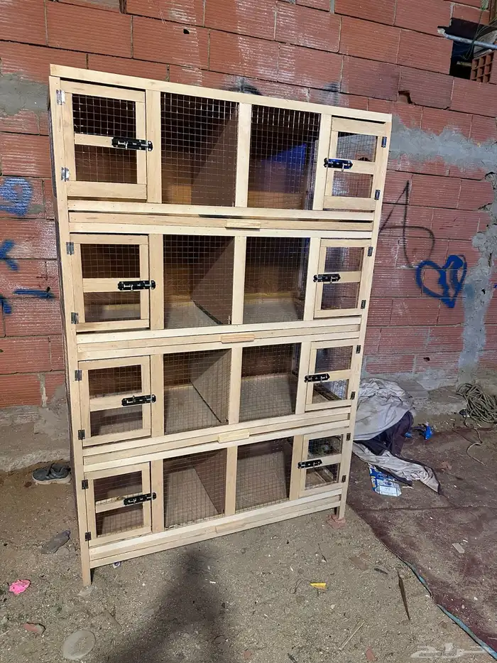 محاكر قفص 55