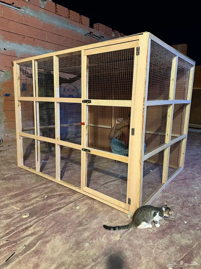 محاكر قفص 51