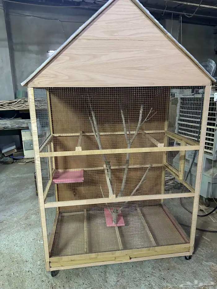 محاكر قفص 12